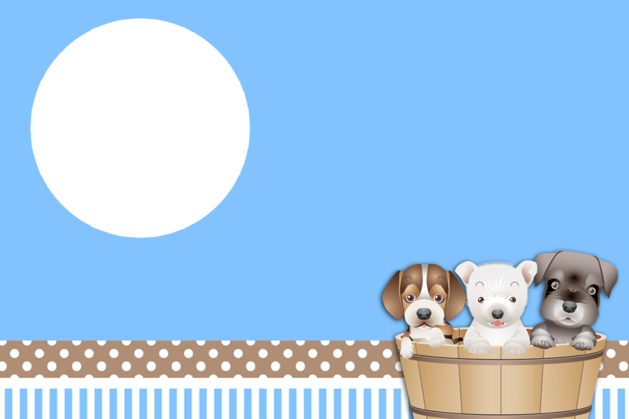 Puppy - Invitacion Para Cumpleaños De Perros (900x600), Png Download
