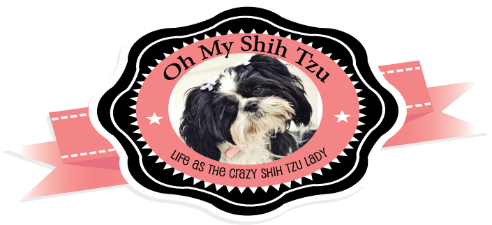 Logox2 - Tibetan Terrier (728x328), Png Download