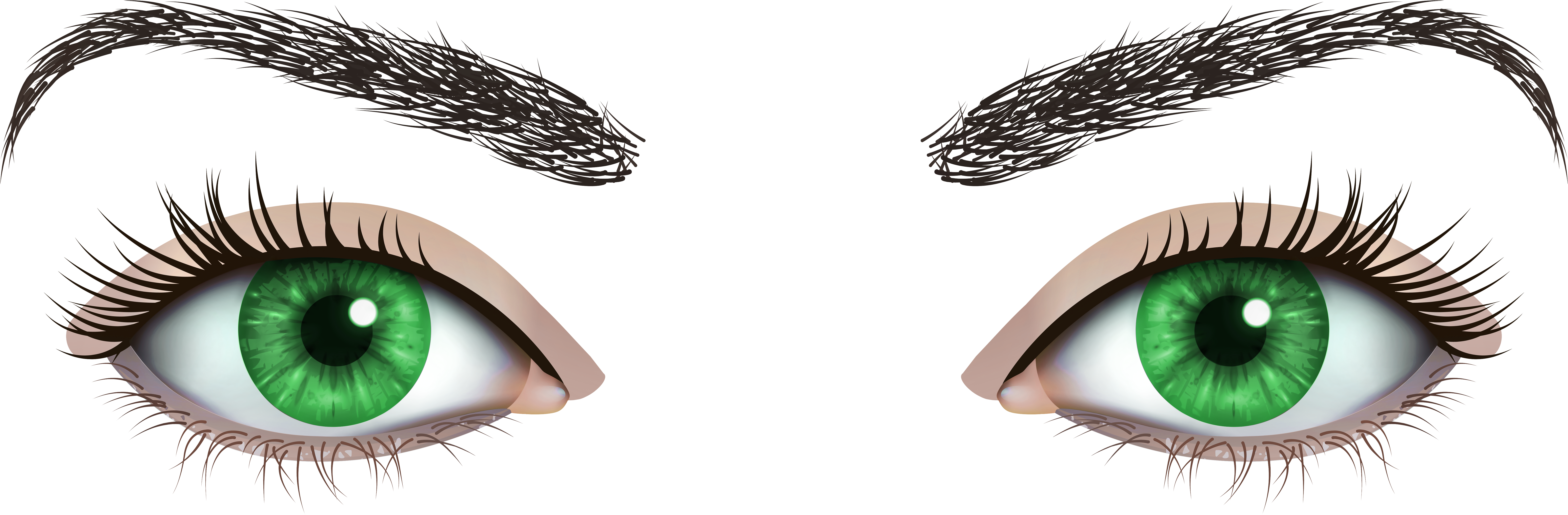 Green Female Eyes Png Clipart - Cílios E Sobrancelha Png (8000x2746), Png Download