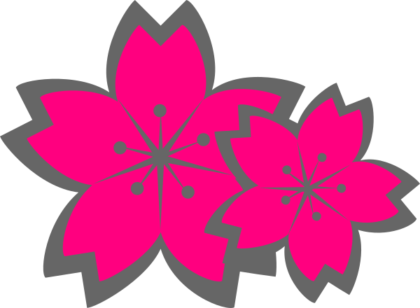 Sakura Clipart Pink Flower - Clip Art (600x440), Png Download