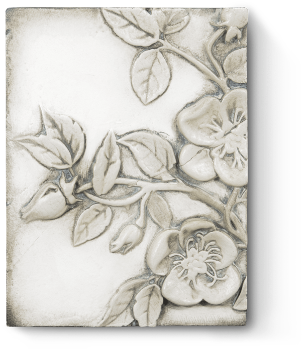 Sakura - Cherry Blossom (720x720), Png Download