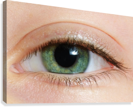 Closeup Of A Green Eye Canvas Print - Posterazzi Closeup Of A Green Eye Posterprint 38.00 (429x346), Png Download