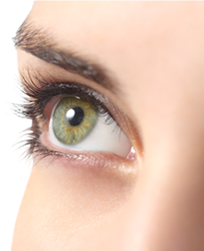 Five Trendy Makeup Colours For Green Eyes - Light Green Eye Lenses (500x500), Png Download