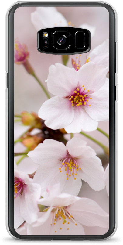 Ablyth Samsung Case, Travel Japan Series, Sakura - Cherry Blossom (1000x1000), Png Download