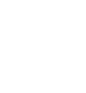 White Maple Leaf Symbol - White Maple Leaf (342x352), Png Download