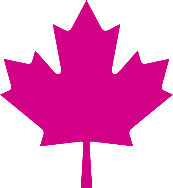Maple Leaf - Red Maple Leaf Transparent Background (553x599), Png Download