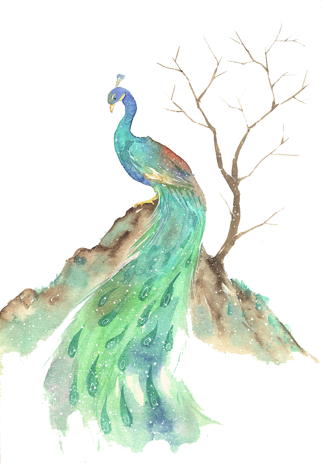Bird Watercolor Painting Illustration - Watercolor Animals Peacock (658x949), Png Download