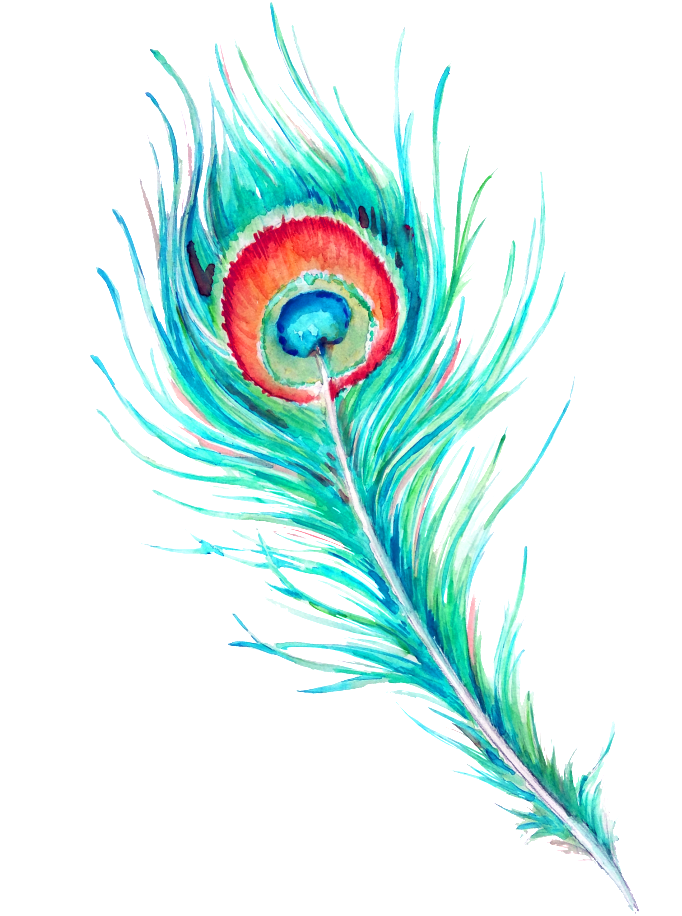 Peacock Feather Hd Beautiful Png - Peacock Feather Watercolor Free (1024x1024), Png Download