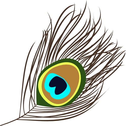 Peacock Feather Transparent - Peacock Feather Clipart Png (498x500), Png Download