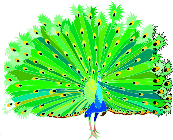 Peacock Clipart - Peacock Clipart Png Hd (750x610), Png Download
