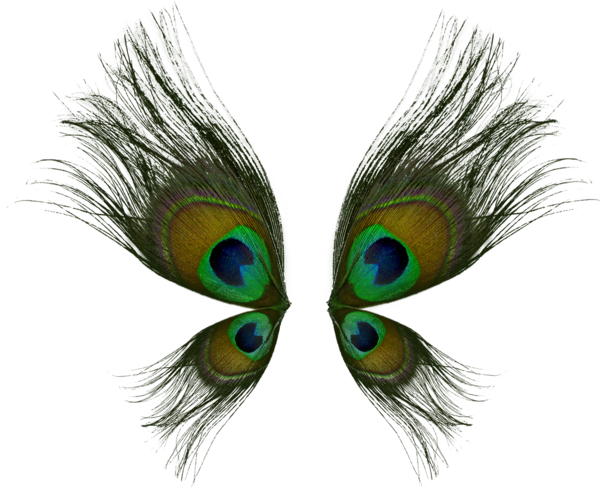 Peacock Wings Png By Valkiria Stock - Peacock Wings (600x600), Png Download