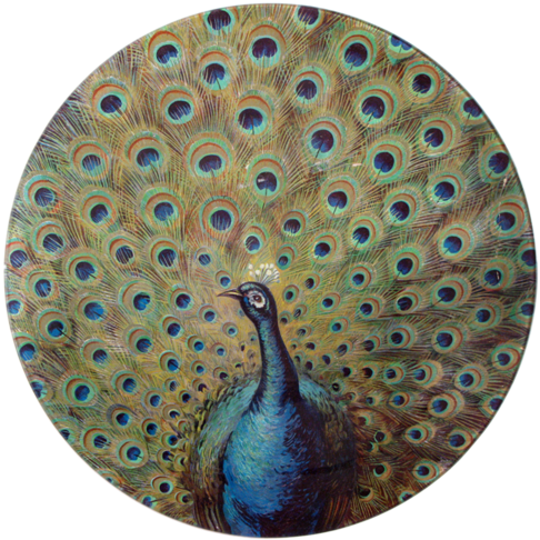 Fanned Peacock Fanned Peacock - Peafowl (500x500), Png Download