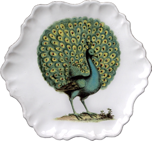 John Derian For Astier De Villatte Peacock Plate - (600x600), Png Download