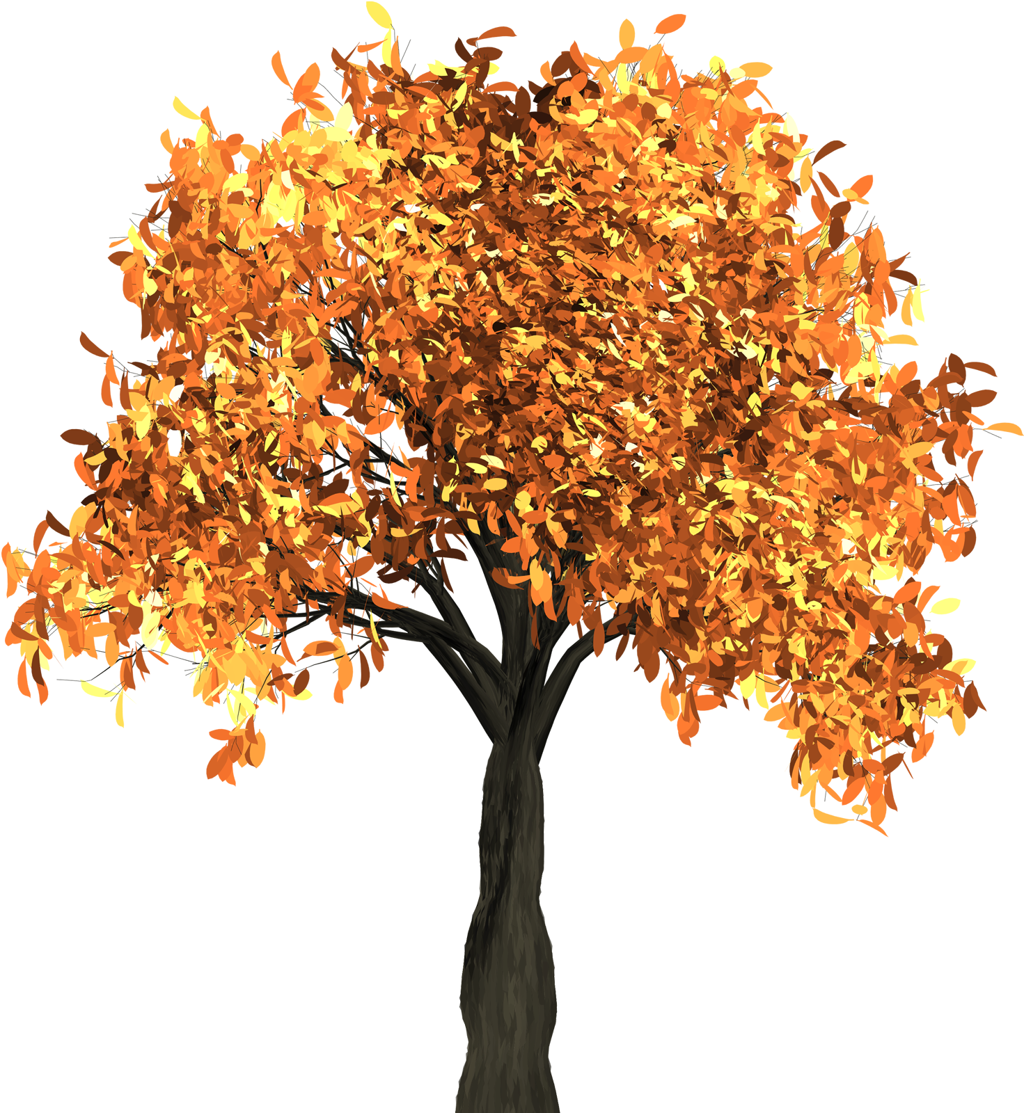 Autumn Tree Png Transparent Image - Transparent Background Autumn Tree Png (1500x1635), Png Download