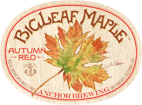 By Dave Burkhart, - Big Leaf Maple In Fall (500x371), Png Download