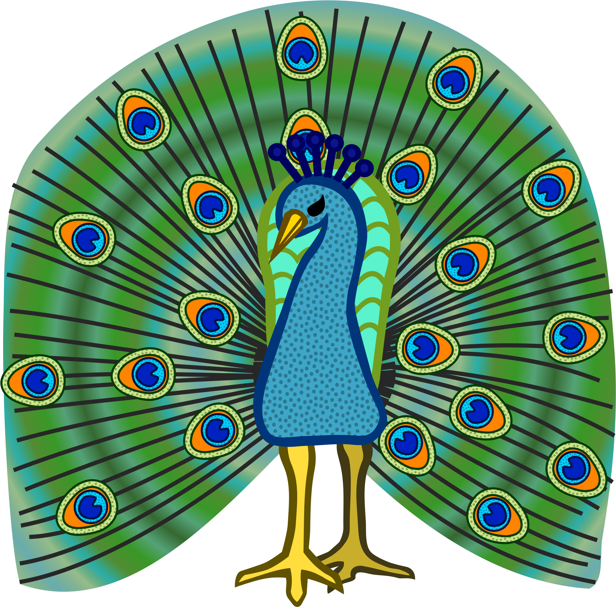 Peafowl Clipart Peacock Colour - Coloured Picture Of Peacock (1000x1000), Png Download