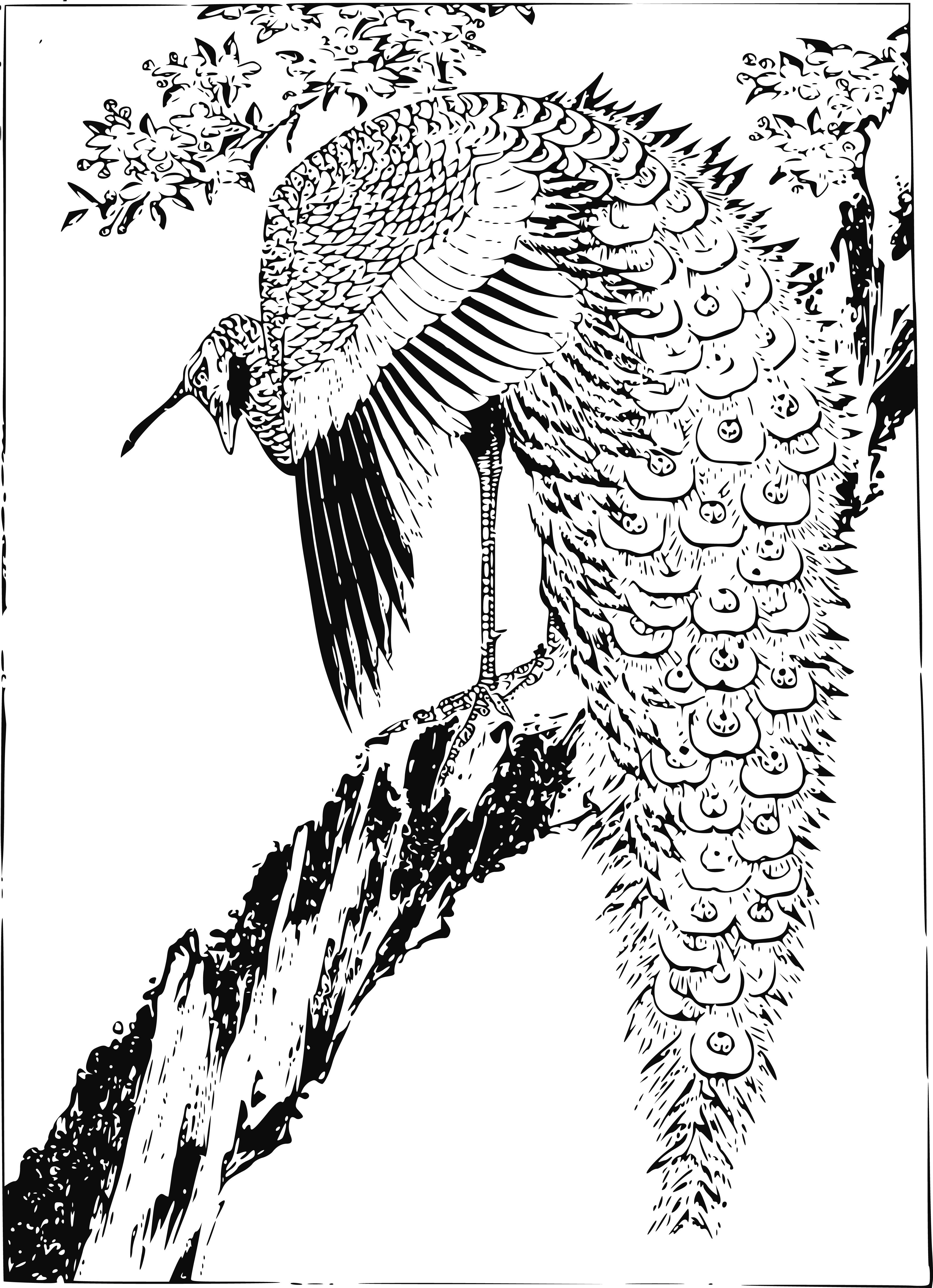 , , - Clip Art (4000x5516), Png Download