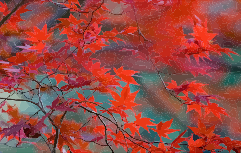 Medium Image - Autumn Leaf Color (800x508), Png Download