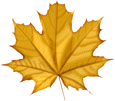 Autumn Leaves Png Icon - Purple Maple Leaf (400x350), Png Download