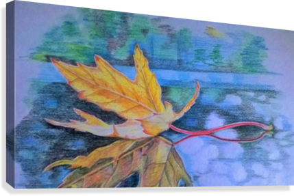 Leaf Over Water Canvas Print - Water (429x287), Png Download