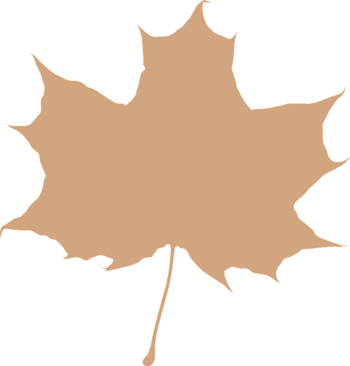 Maple Leaf 305190 960 720 - Leaf Silhouette Clip Art (689x720), Png Download