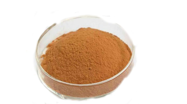 Crown Of Thorns, Crown Of Thorns Suppliers And Manufacturers - Bowl (640x640), Png Download