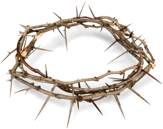 Crown Of Thorns Png (550x434), Png Download