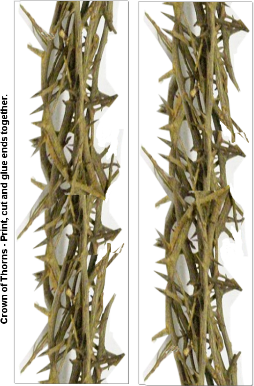 Crown Of Thorns A - Thorns, Spines, And Prickles (612x792), Png Download