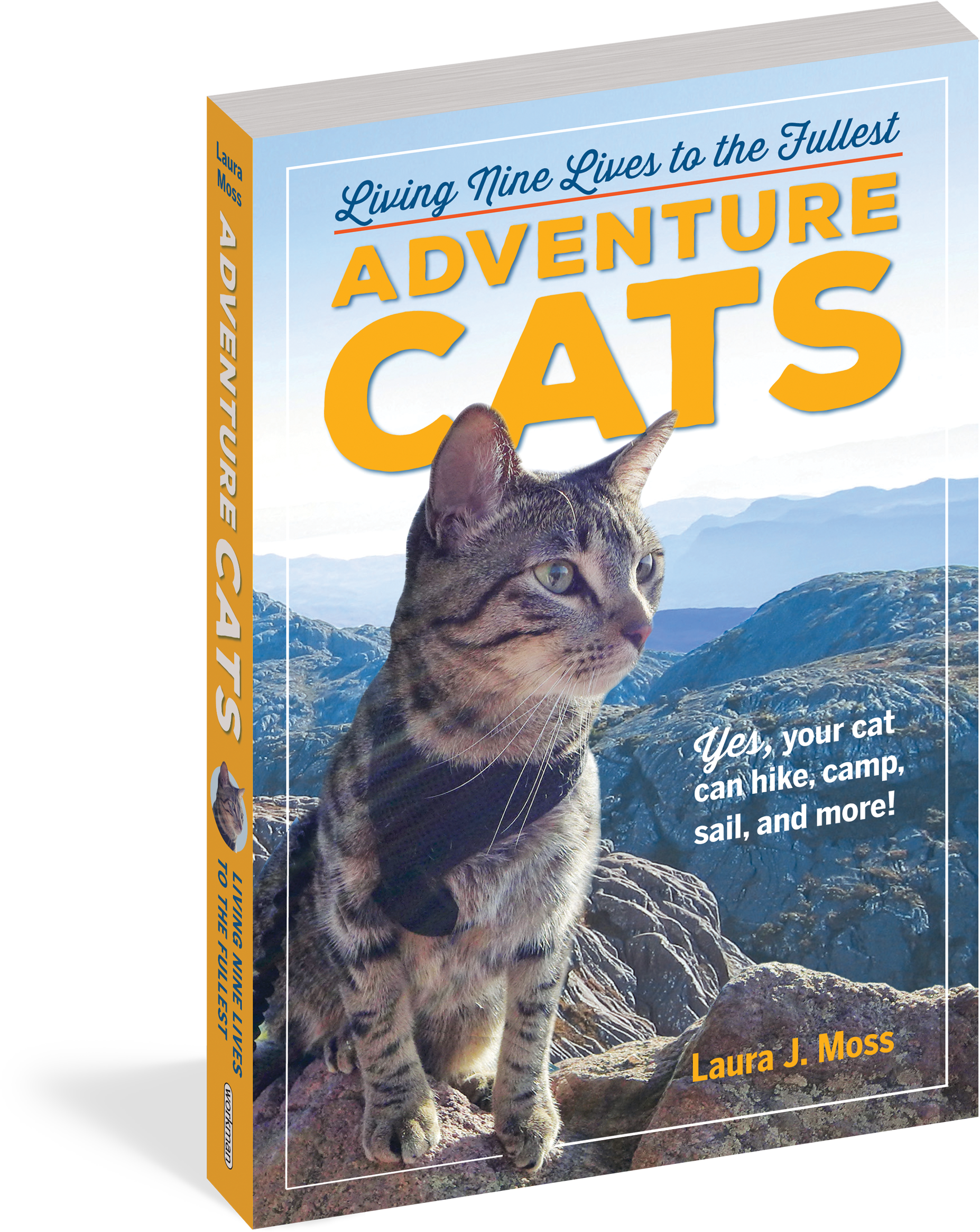 Adventure Cats: Living Nine Lives To The Fullest (2000x2400), Png Download