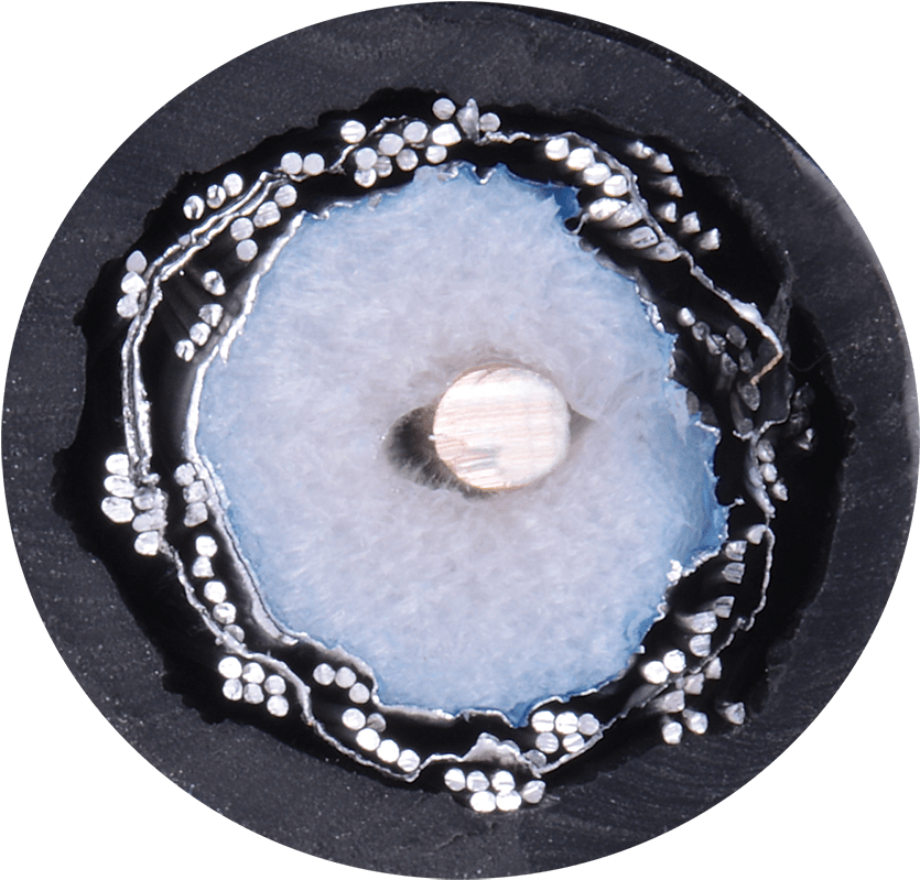 Circle (1600x900), Png Download