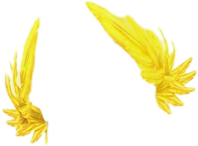 Report Abuse - Snapchat (812x598), Png Download