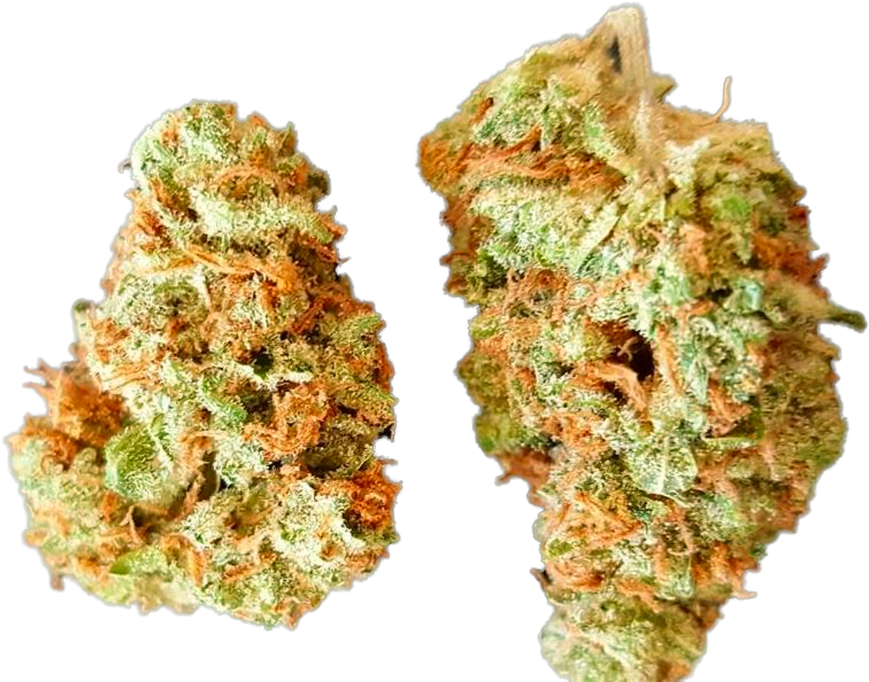 Primaryapp - Rock (1276x984), Png Download