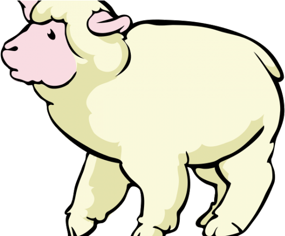 Lamb Clipart Cross - Sheep Cartoon Png (640x480), Png Download