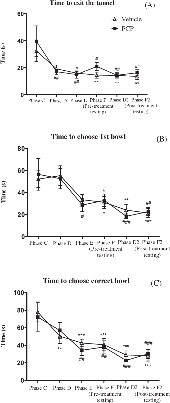 Time To Exit The Tunnel , Choose The 1st (b) And Correct - Diagram (720x1708), Png Download