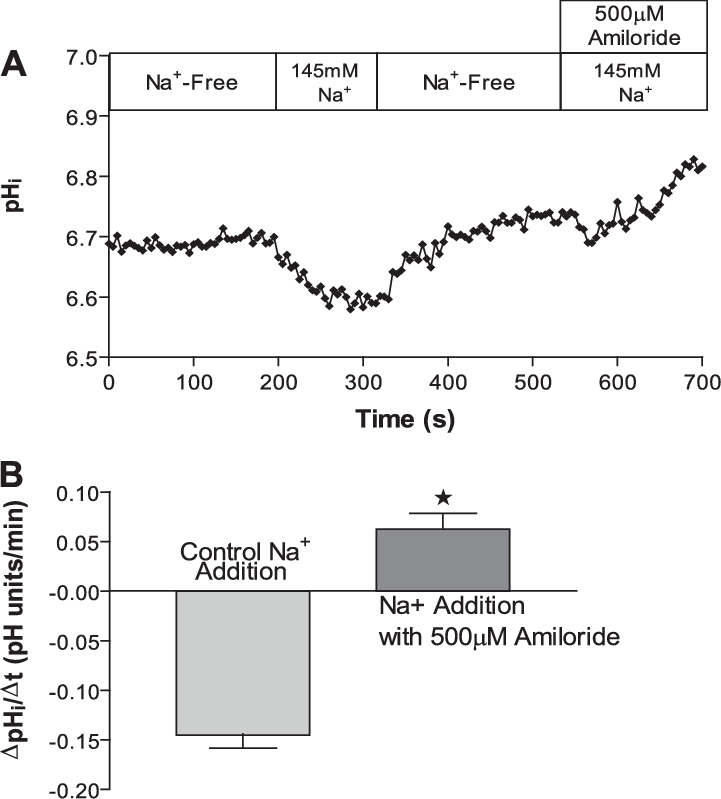 Effect Of 500 M Amiloride On The Na Induced Acidification - Diagram (721x799), Png Download
