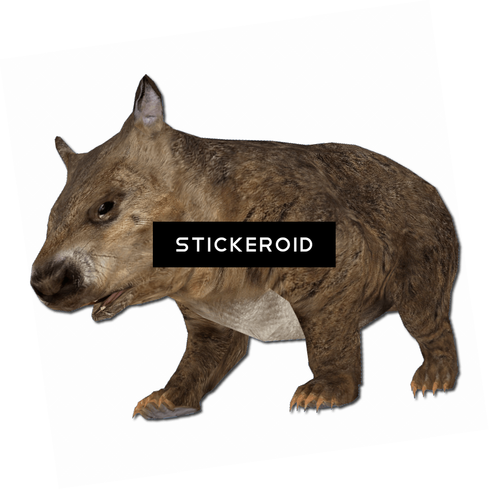 Small Nose - Rhinoceros (963x964), Png Download