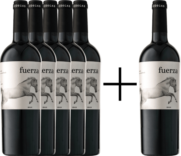 Egobodegas 5 1 Paket Jeroboam - Bodegas Ego Fuerza 2013 Red Wine From Spain - 750ml (600x518), Png Download