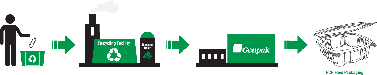 Post Consumer Recycling Process - Genpak Gnpad24 - Clear Hinged Deli Container, Plastic, (1312x315), Png Download