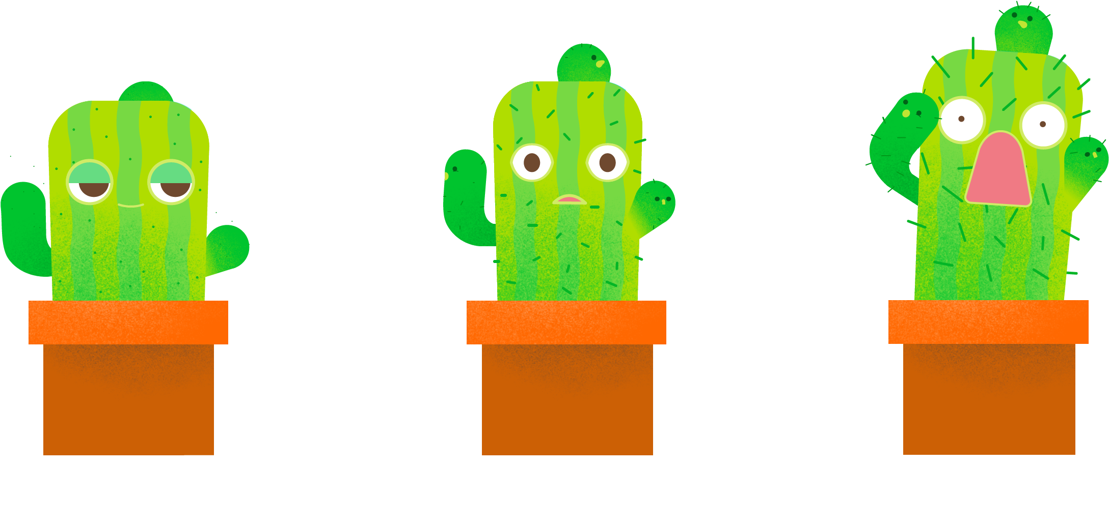 Cactus (3364x1121), Png Download