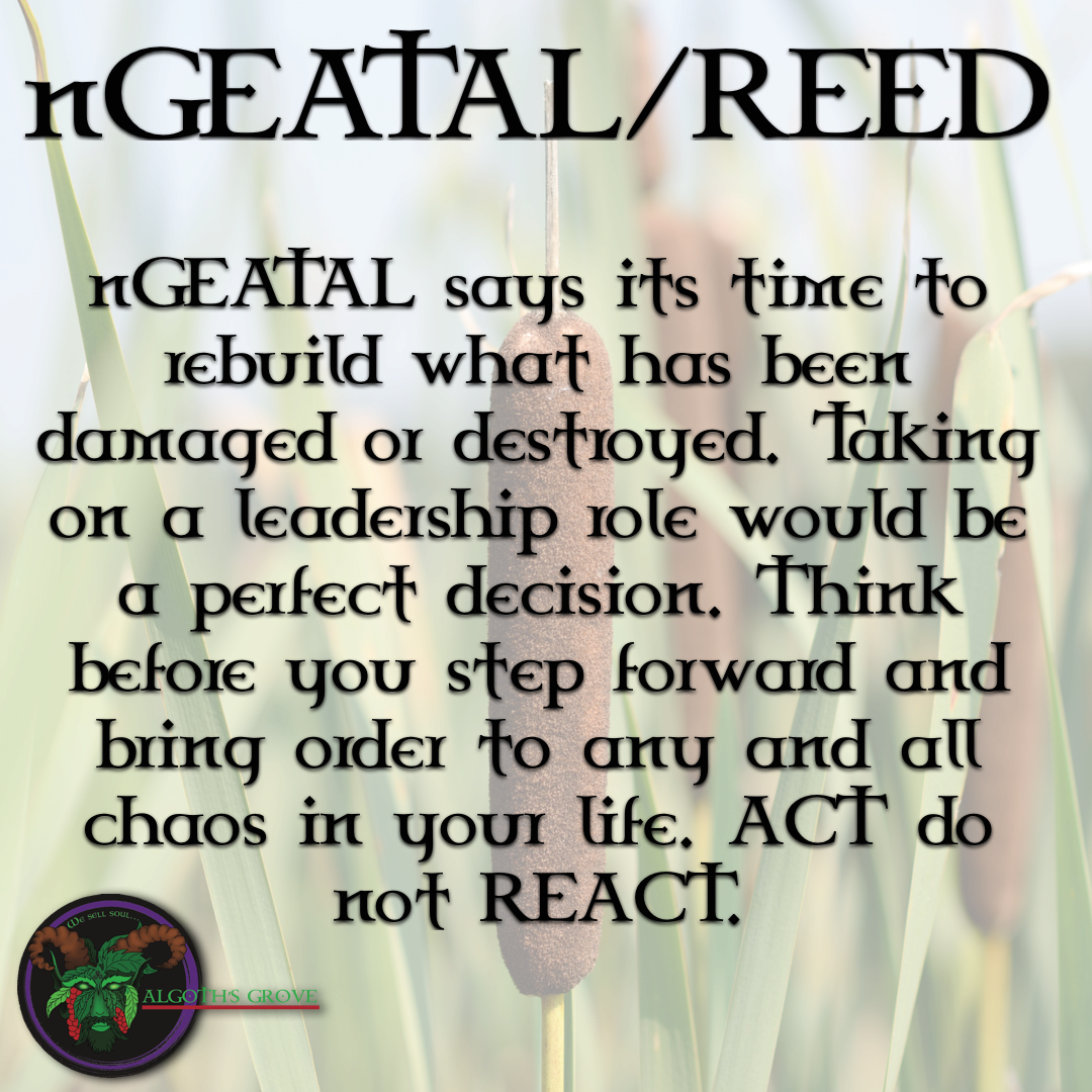 Reed - Number (1080x1080), Png Download