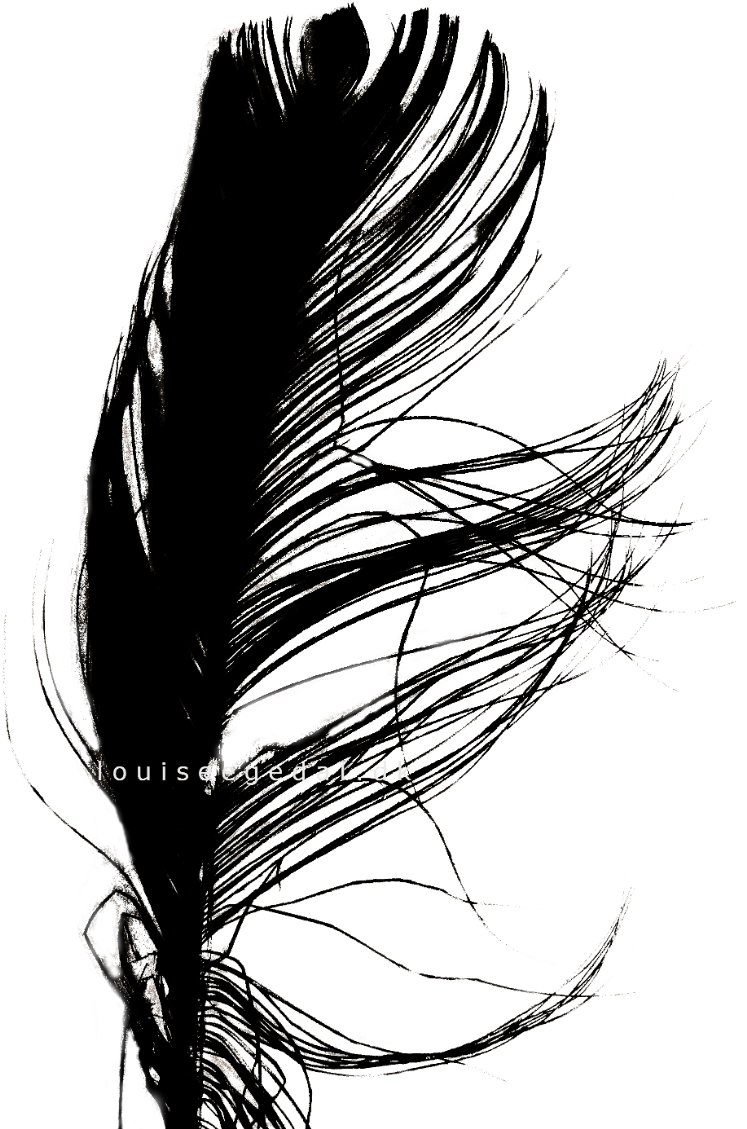 Jpg Transparent Stock Interesting Drawing Feather - Design (940x1330), Png Download