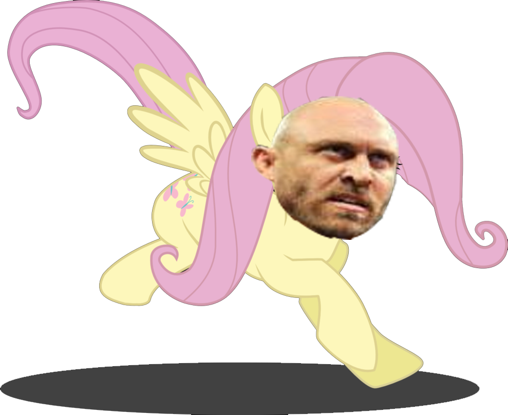 Post By Hawk Hart On Jul 28, 2013 At - Fluttershy Mbti (989x808), Png Download