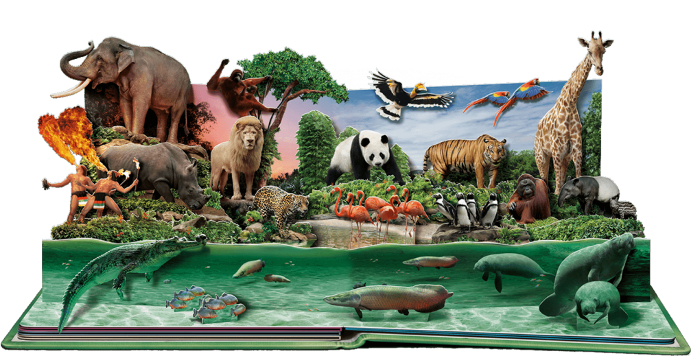 Leave A Reply Cancel Reply - Wildlife Reserves Singapore (1024x521), Png Download