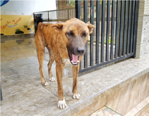 21 (814x458), Png Download