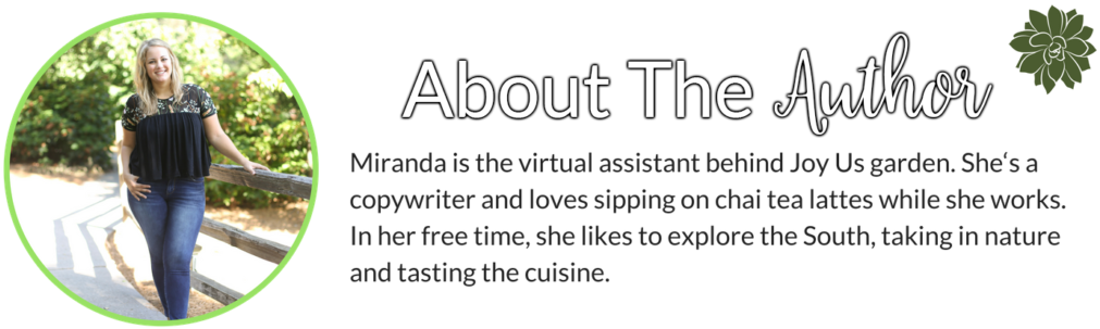 I've Dabbled In Painting And Hiking Myself, But I'm - Calligraphy (1024x311), Png Download