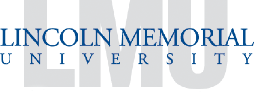 Next - Lincoln Memorial University (920x920), Png Download