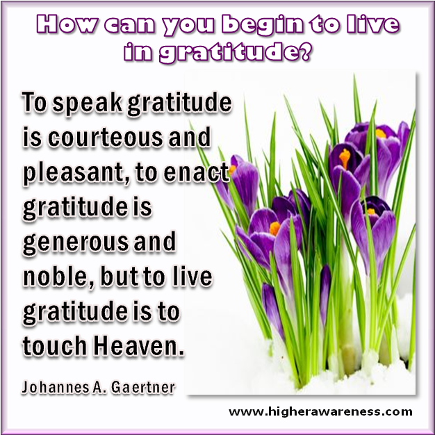 Gratitude - Snow Crocus (629x634), Png Download