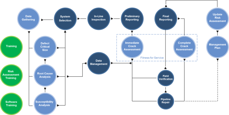 The Solution - Management (800x403), Png Download