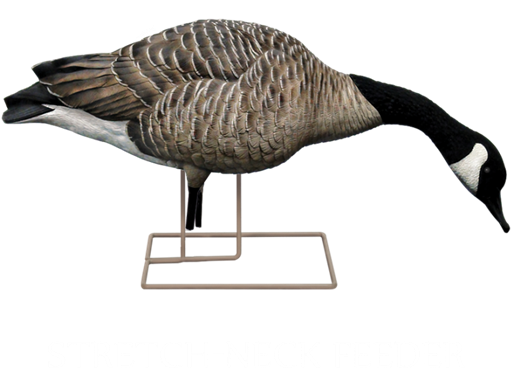 Picture Of **free Shipping** Axp Fusion Honker 6 Pack - Avian X Flocked Geese (568x600), Png Download