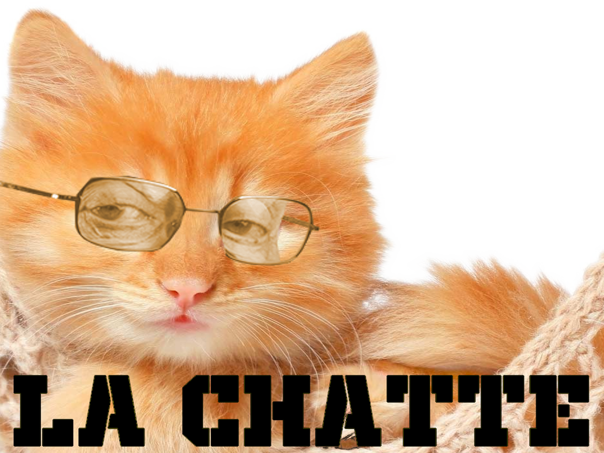 Larry Silverstein La Chatte (1200x900), Png Download